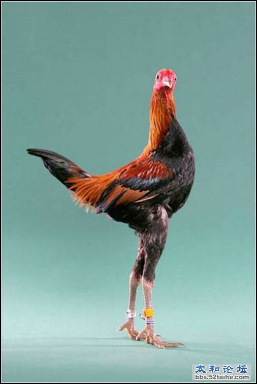 20.jpg