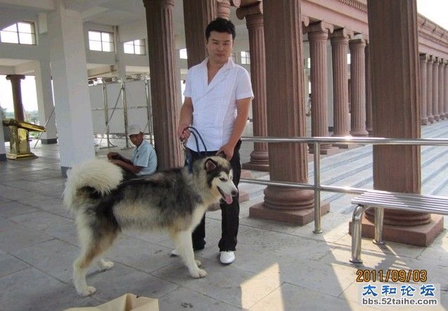 (り．合个影
