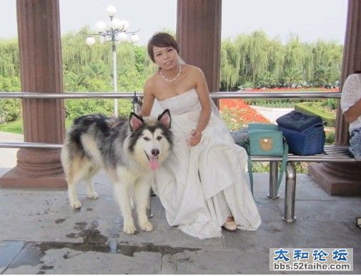 (り．合个影