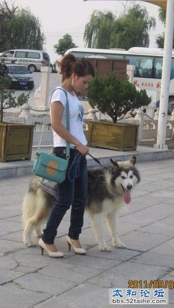 (り．合个影