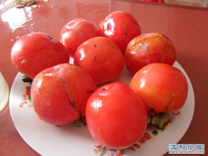 饭后吃个柿子2.jpg