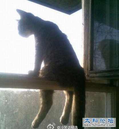 QQ截图20111102133850.png