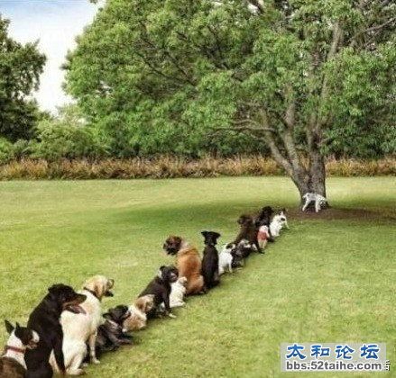 看看什么叫素质.jpg