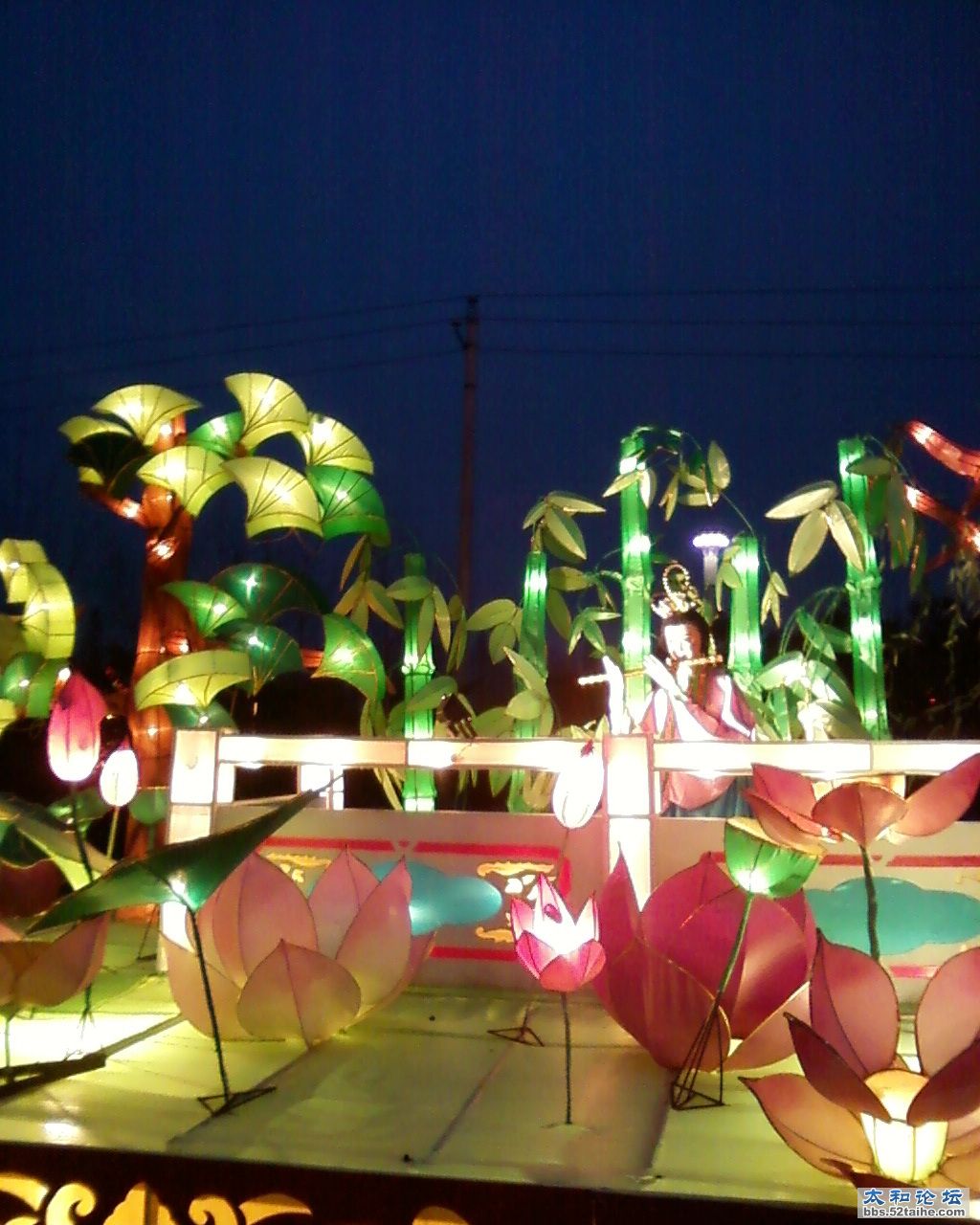 照片-01441.jpg