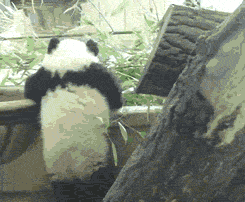 可算爬上来了。。.gif