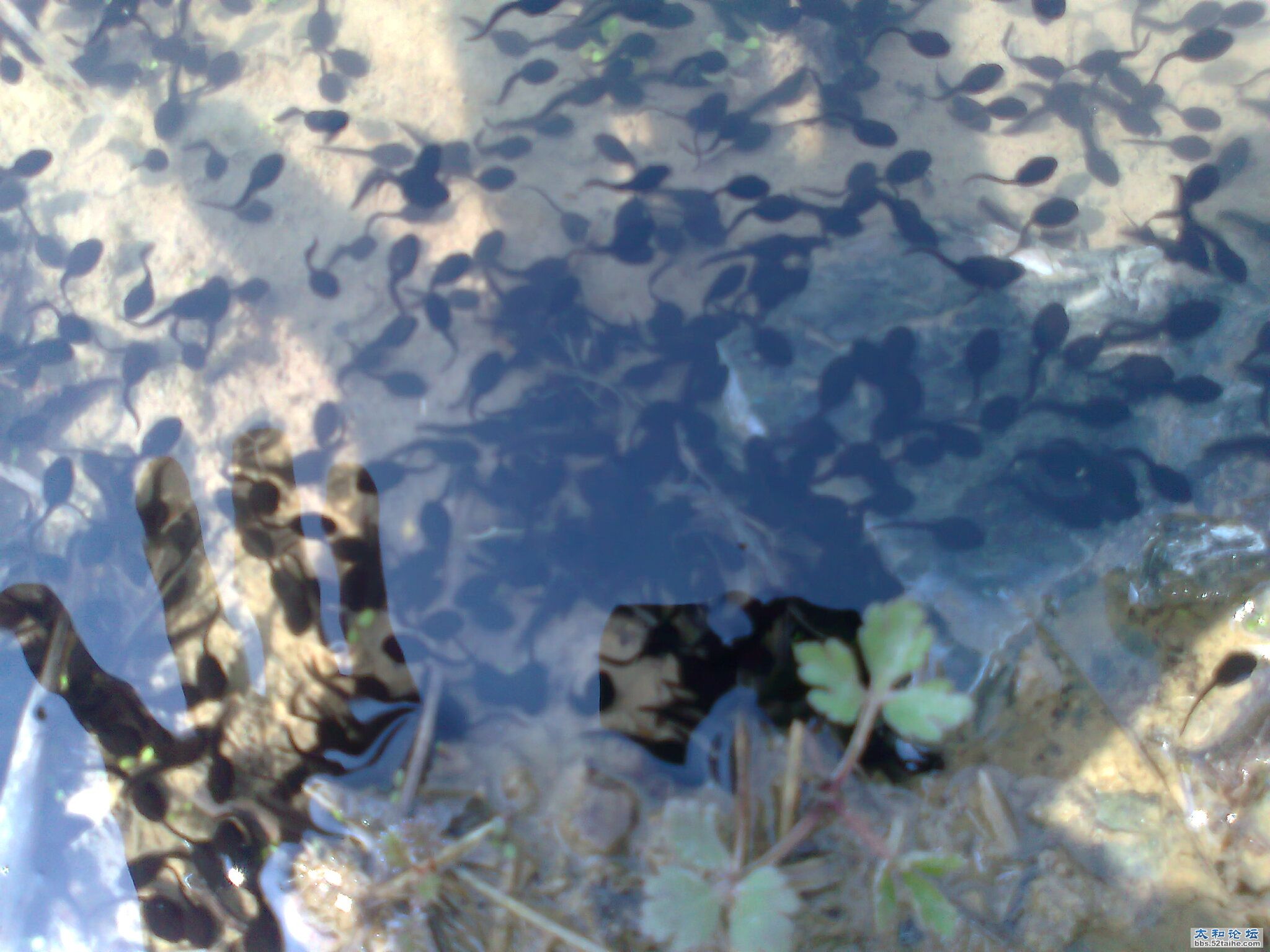 照片0129.jpg