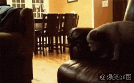22.gif