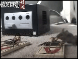 1.gif
