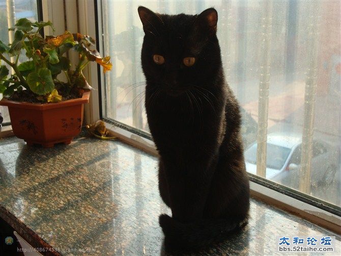 你能看见我？？？.jpg