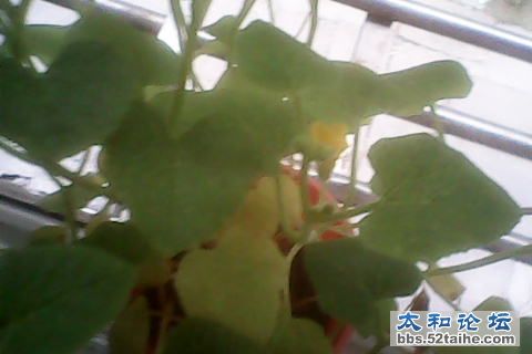 IMG_0076.JPG
