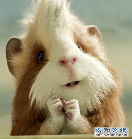 我好崇拜你哦.jpg