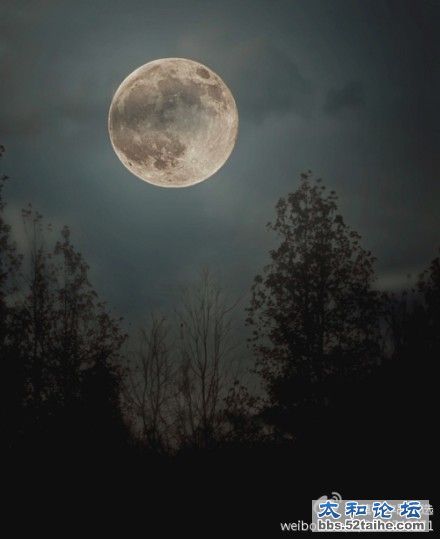 最暗的夜，才能看见最美的星光，人生亦如此.jpg