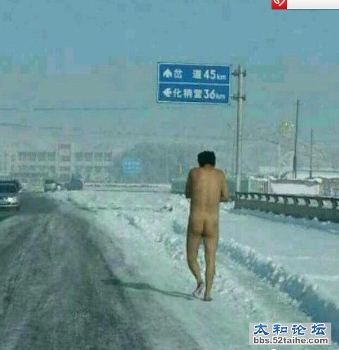 奇葩.jpg