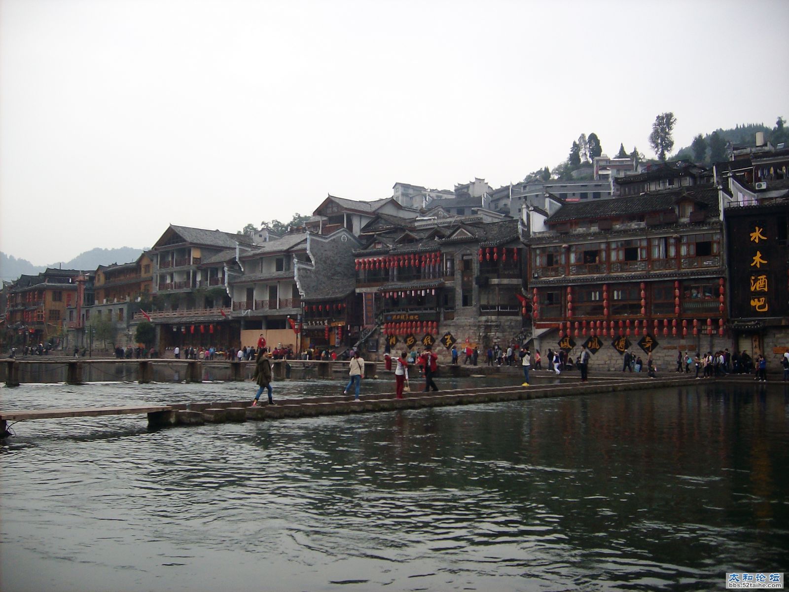 IMG03903.JPG