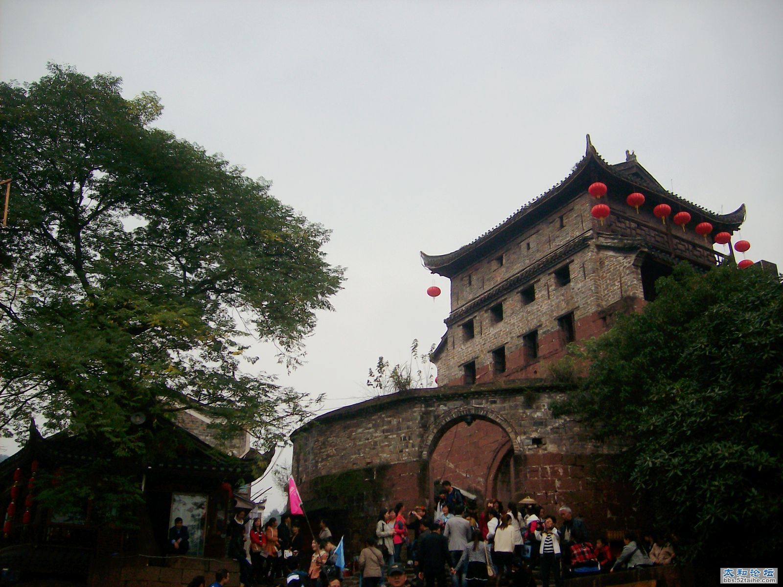 IMG03906.JPG