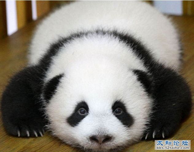 QQ截图20121205103751.jpg
