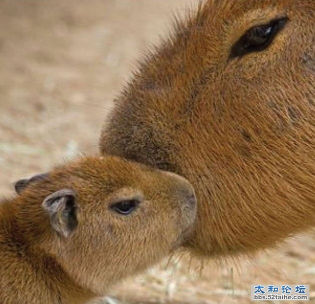 QQ截图20121205104634.jpg