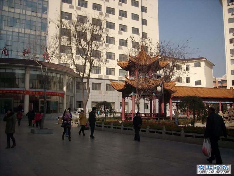 IMG04919.JPG