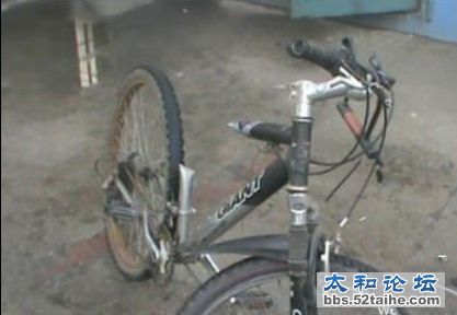 juhua3.jpg