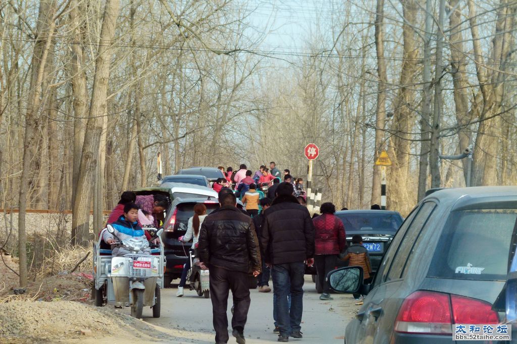 P1500279.jpg