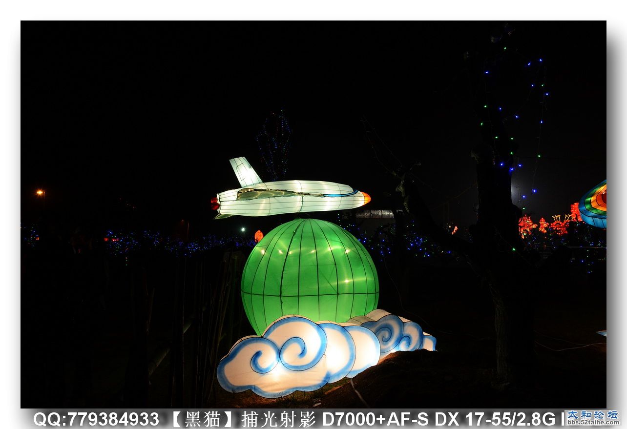 DSC_2009as.JPG