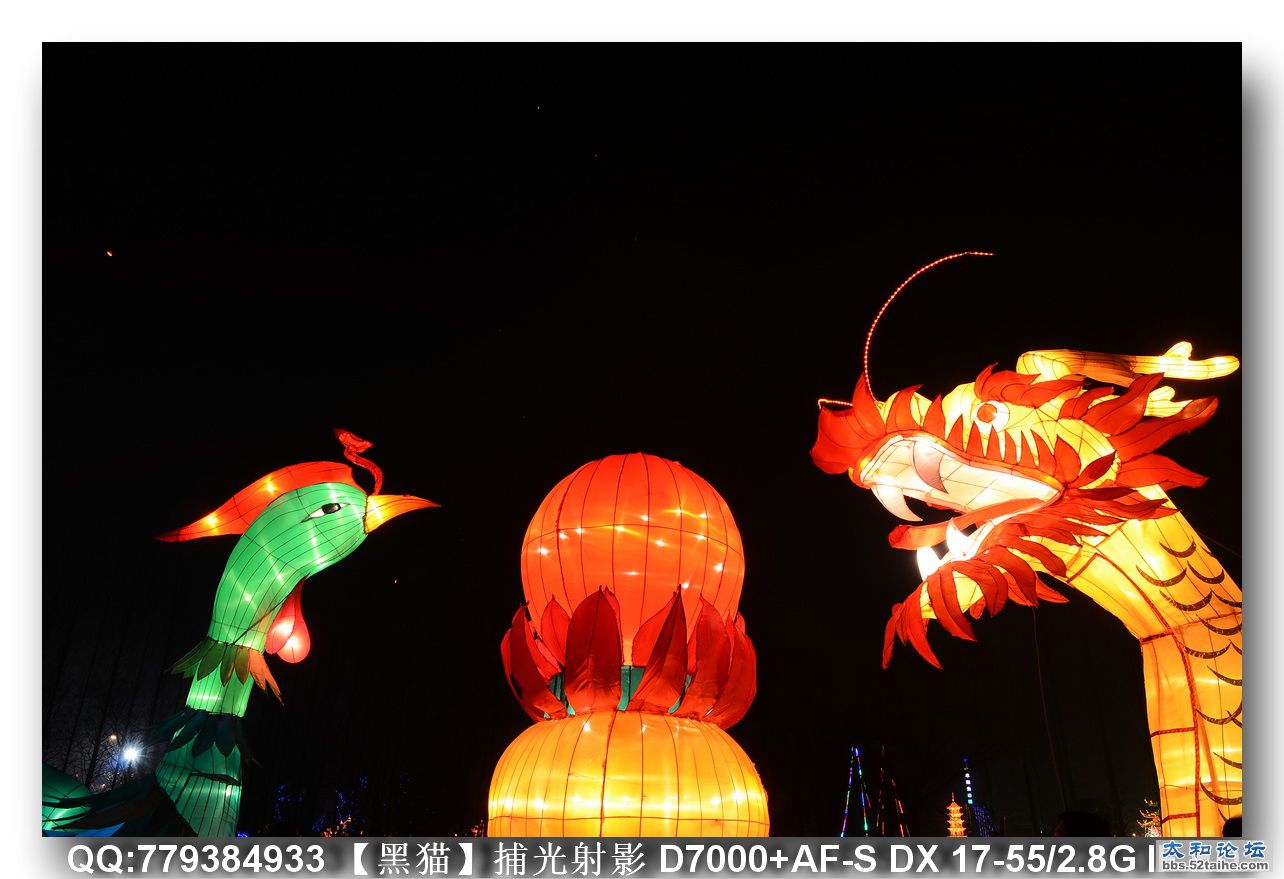 DSC_2019as.jpg
