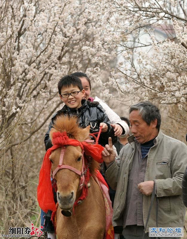 细阳券龙--追梦人4.jpg