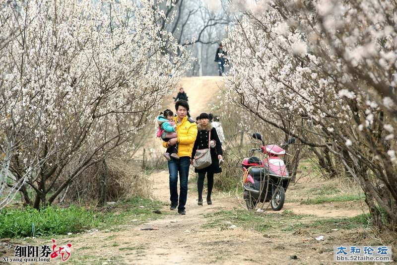 细阳券龙--追梦人12.jpg