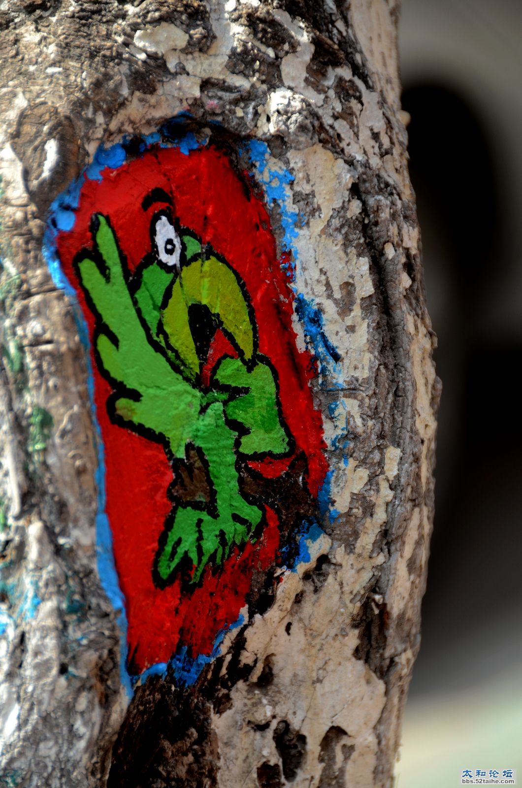 DSC_0480 000.jpg