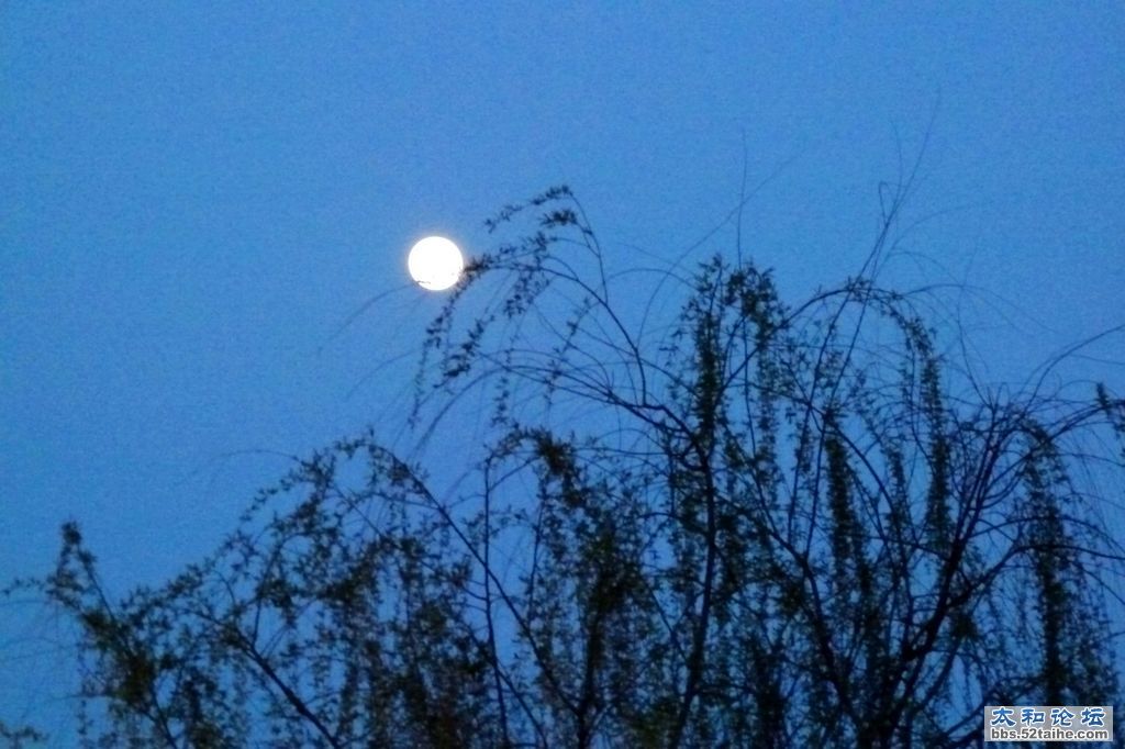 P1510820.jpg
