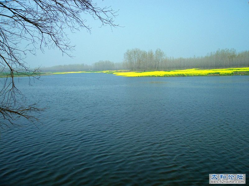 SDC12243_副本.jpg