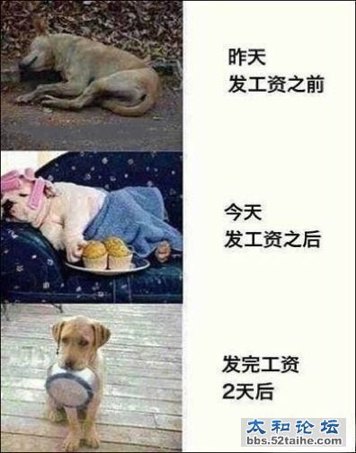 发工资.jpg