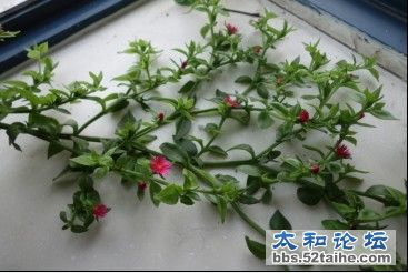 未命名.jpg