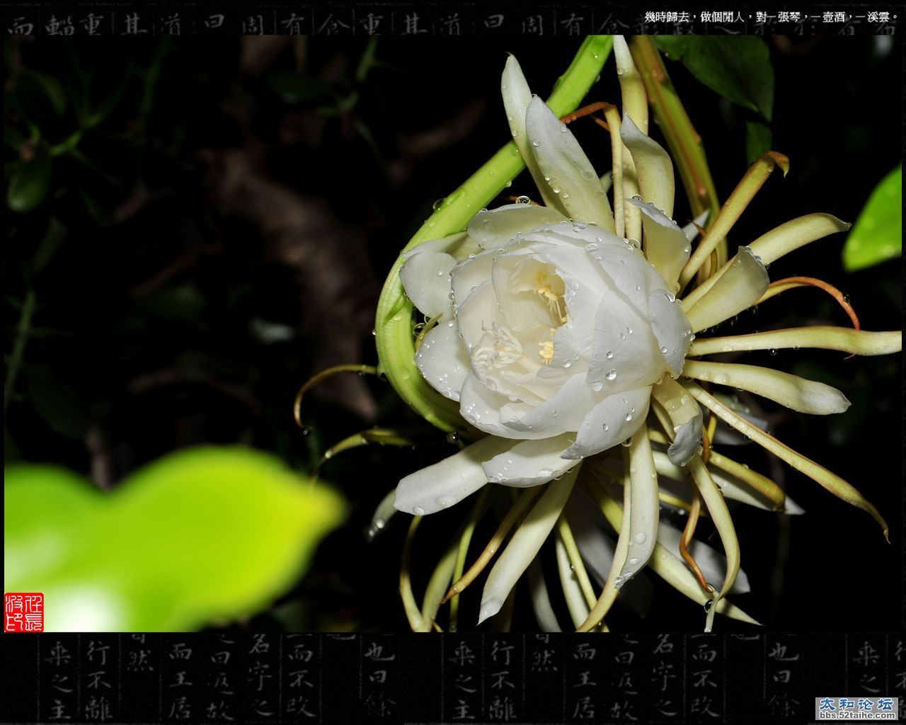 DSC_8407.jpg