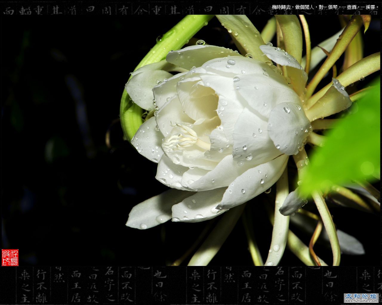 DSC_8408.jpg