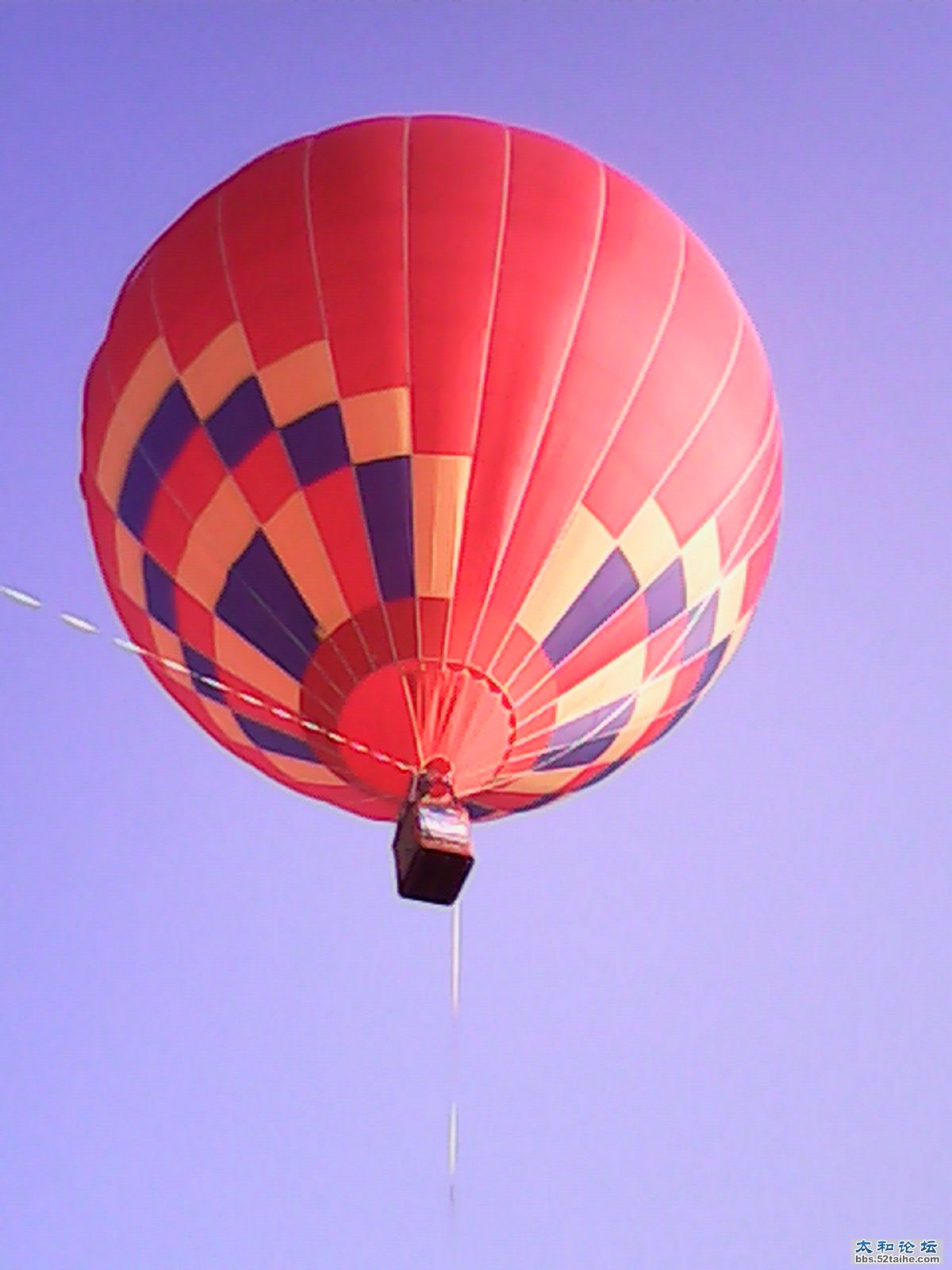 IMG_20130430_175100568.jpg