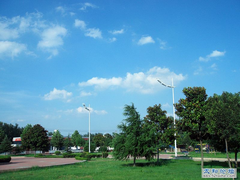 SDC13111_副本.jpg