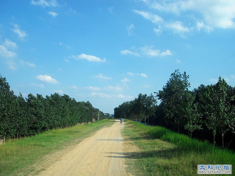 SDC13124_副本.jpg