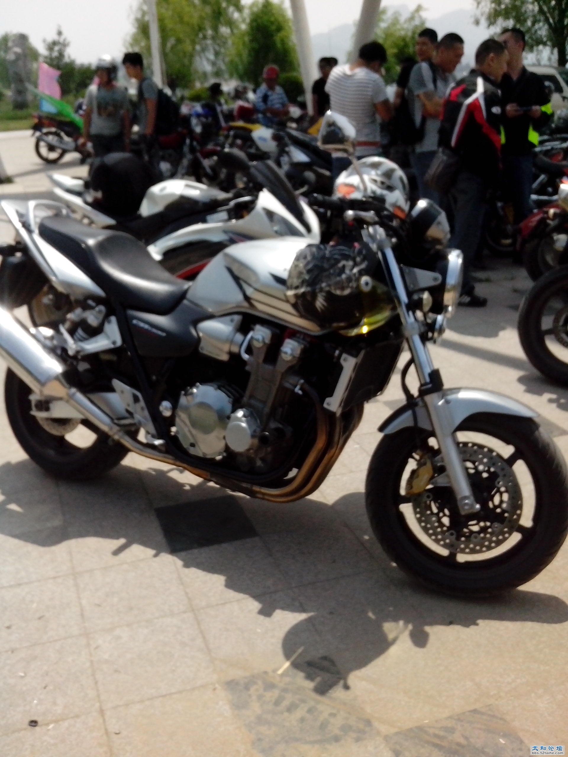 IMG_20130629_132522.jpg