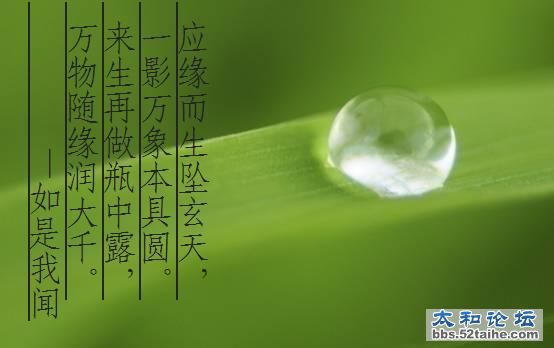 clip_image002.jpg