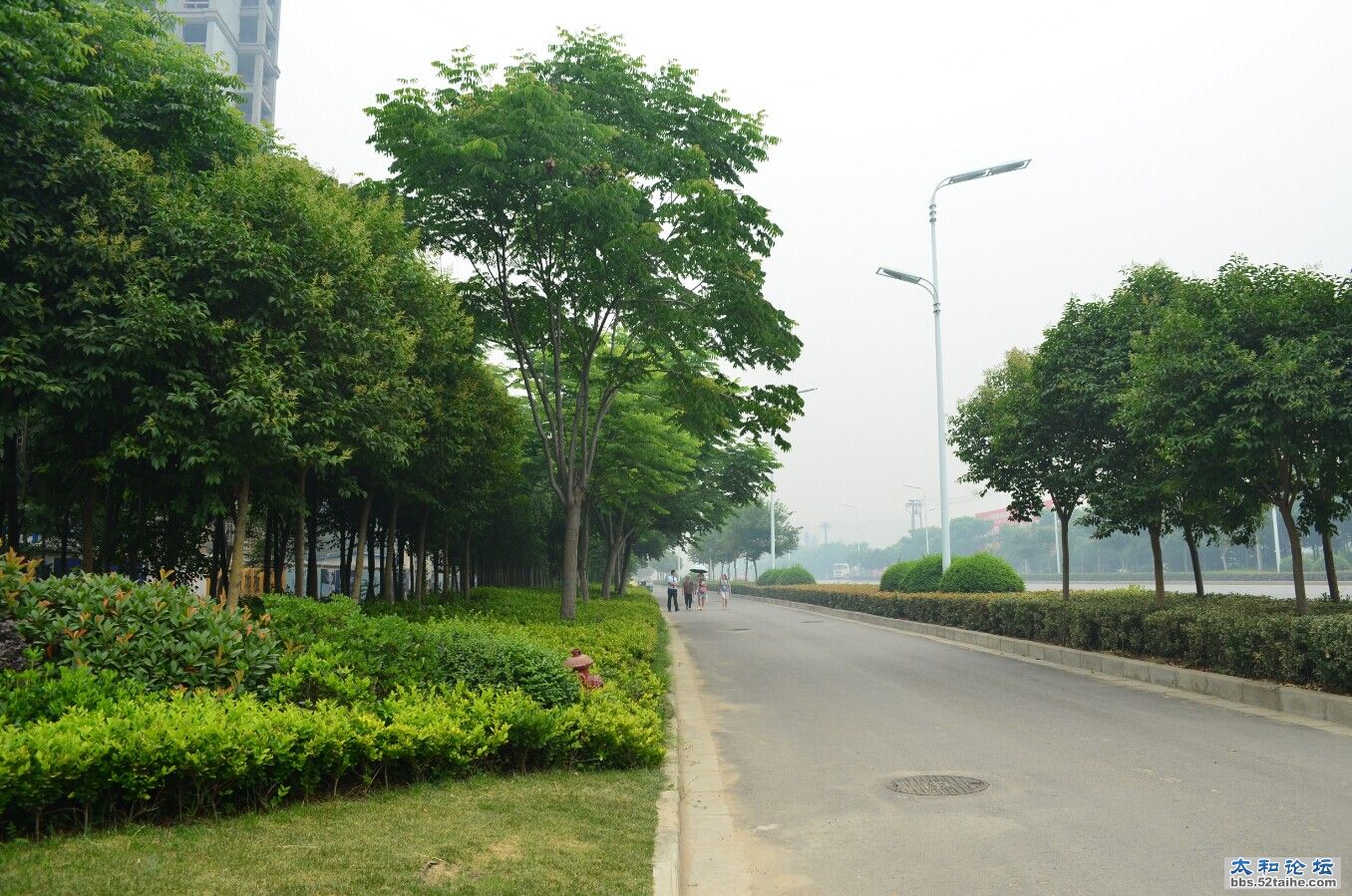 我们的城市绿化很好很清晰，远离pm2.5