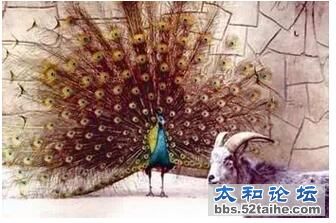 QQ截图20150929110234.jpg