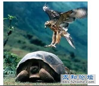 QQ截图20150929110252.jpg