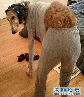 QQ截图20151104171650.jpg