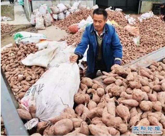 QQ截图20151112170516.jpg