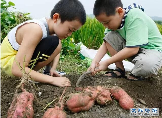 QQ截图20151112170521.jpg