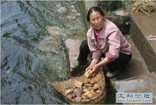 QQ截图20151112170526.jpg