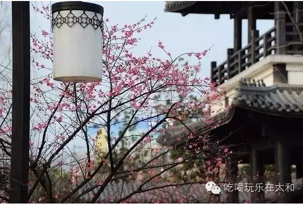 QQ截图20160303091606.jpg