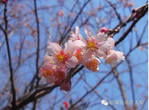 QQ截图20160303091616.jpg