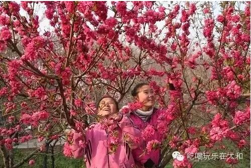 QQ截图20160303091648.jpg